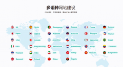 <strong>保举来由：①伙伴天分：做为多家全球焦</strong>